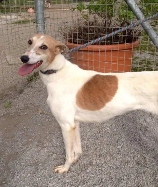 10009551 10151900624895194 533206064 n