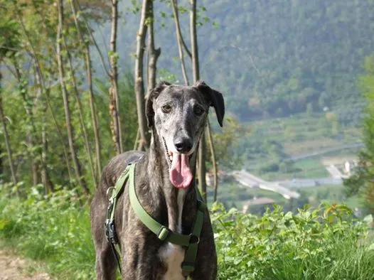 10011337 10202941129000560 7102103833065322806 n