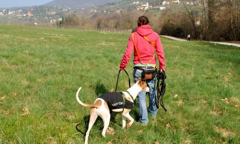 10012764 646140418780467 2026089269 o