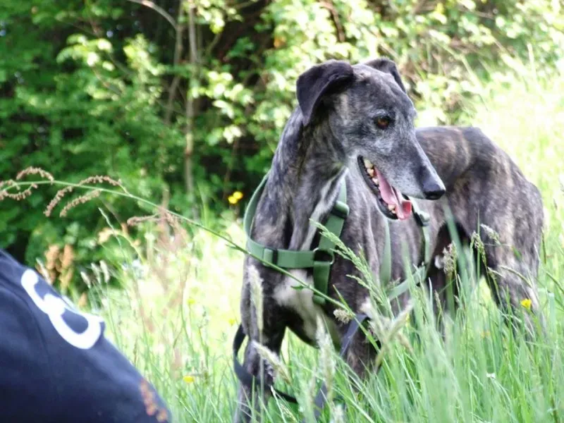 10012977 10202941220762854 3407802020912662549 n