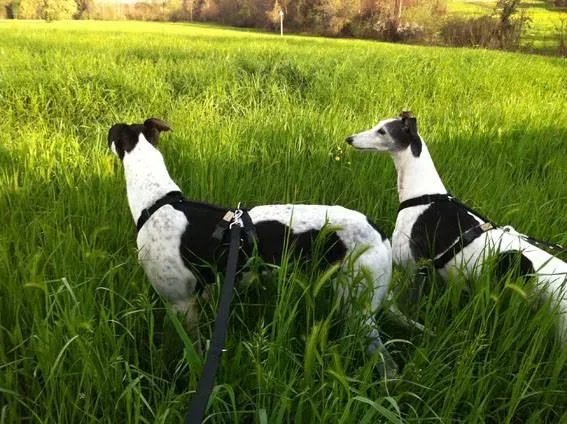 10013651 10202883552202847 993375769 n