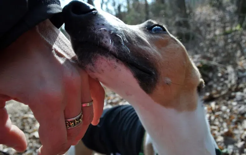 10014020 646140912113751 290757793 o