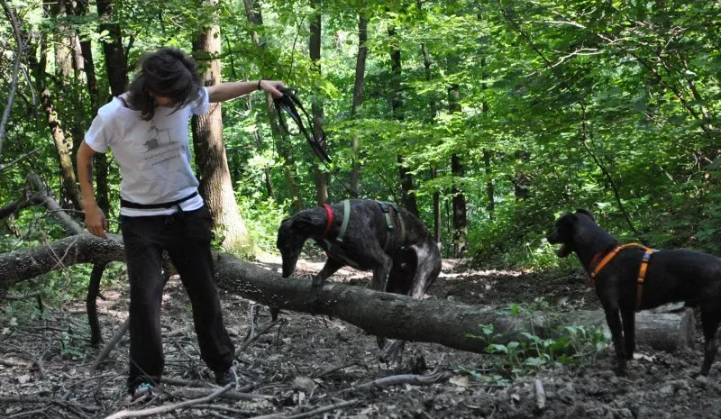 10014165 677044199023422 7647231047146024502 o