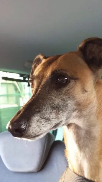 10014659 10202426656240452 1392754430 n