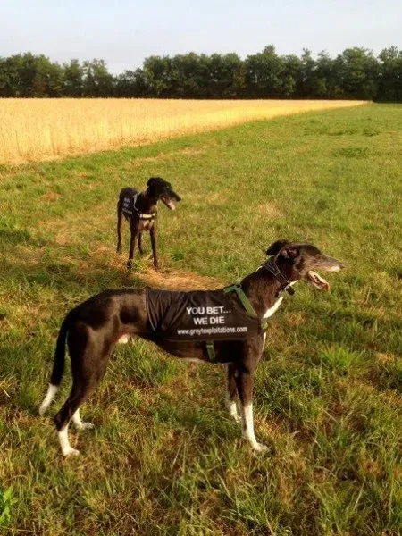 1001485 473836149374660 129228216 n