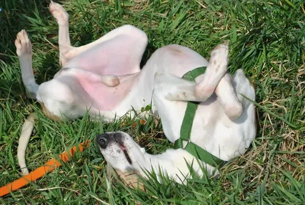 10015643 10202913672594167 3186602745864359523 n