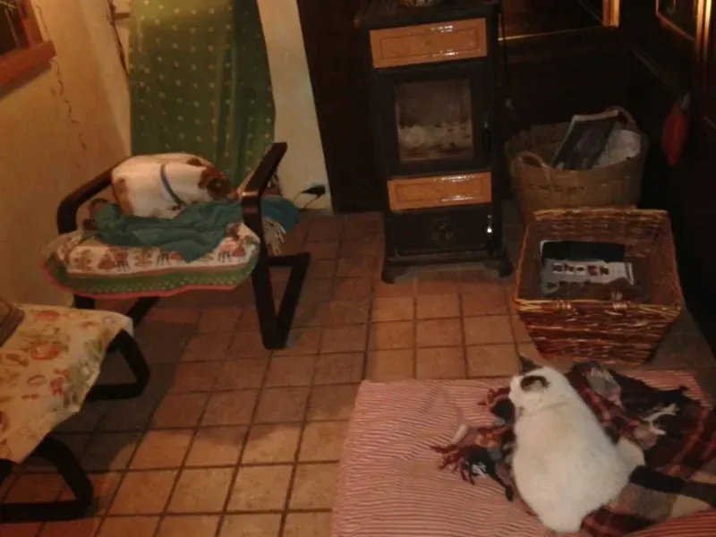 10015648 10202783698344892 2143551011 n