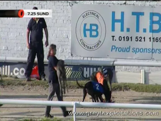 1002314 541662215886948 1990138160 n