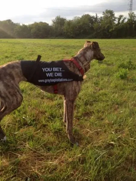 1002442 473836289374646 1874586001 n