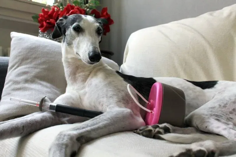 1005029 10202137895201888 766164093 n