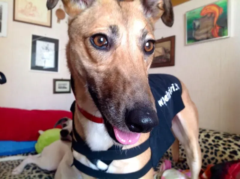 1010340 10202373055420465 1502762630 n