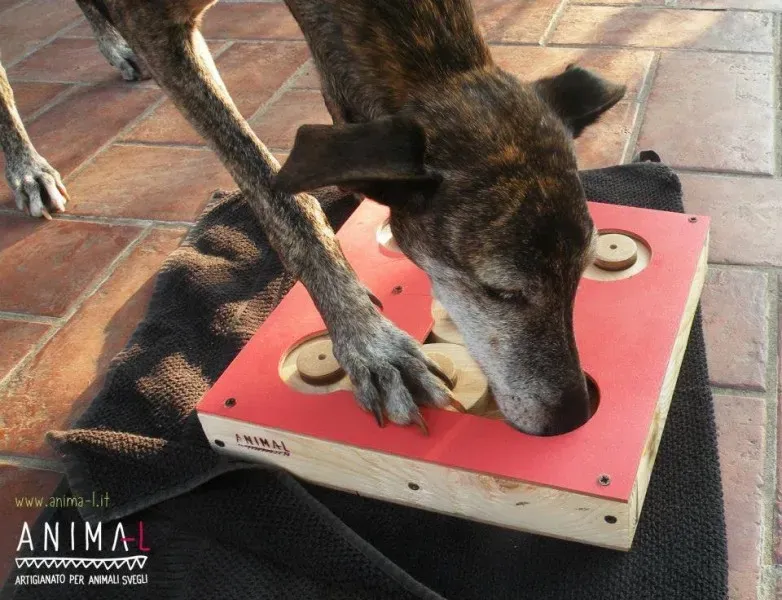 1010482 724147487669109 1443992183317559913 n