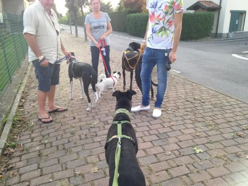 1010490 860548760629846 7598711869587971032 n