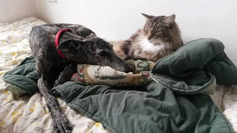 1010819 985356151548240 2221424345371744912 n