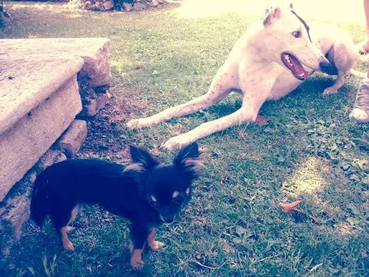 1010870 10201198804085538 784573967 n