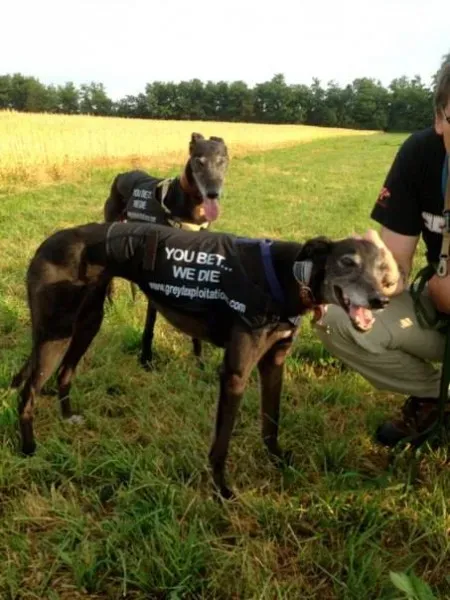 1011171 473836382707970 1467694870 n