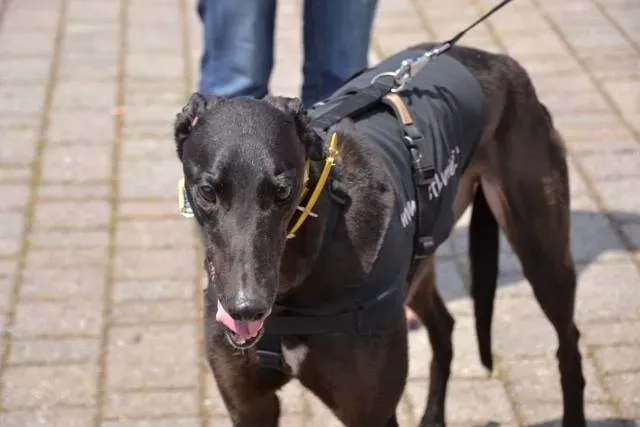 1011211 643650905718768 2037423404651608705 n