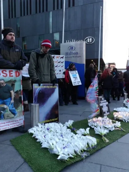 1012384 550559191718887 258989434 n