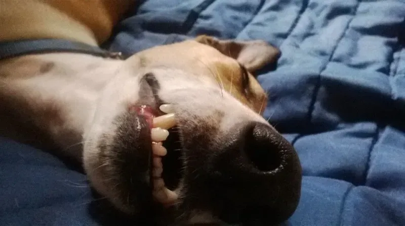 1012384 746590968735411 605655259574581813 n