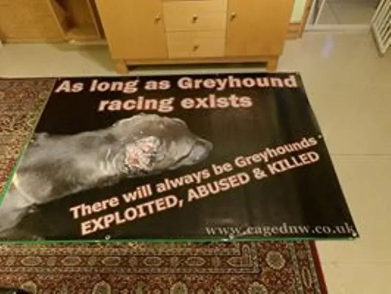 1012394 693139330730882 1553429113 n