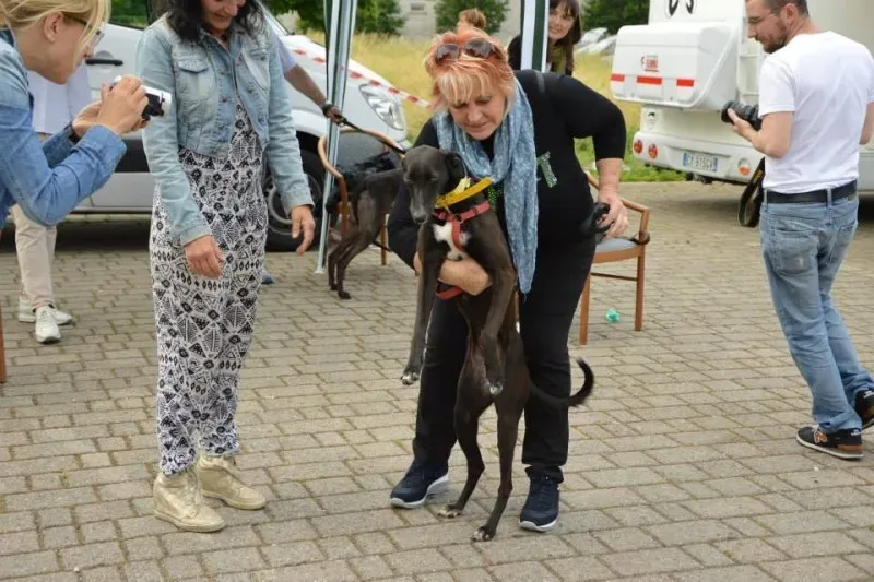 1012581 577113285790528 5277027548022568781 n