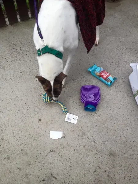 1013320 1135745526443145 5926521443100993354 n