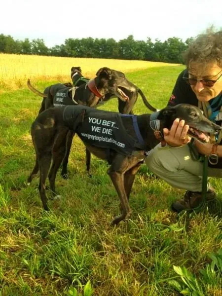 1013548 473836442707964 22845382 n