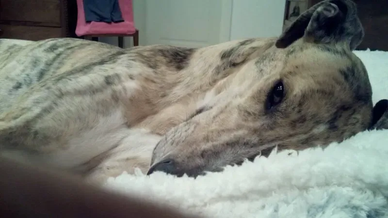 1013997 209484356078992 8610133149600221480 n