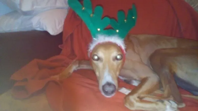 1014466 521345301375837 6308505559107073166 n