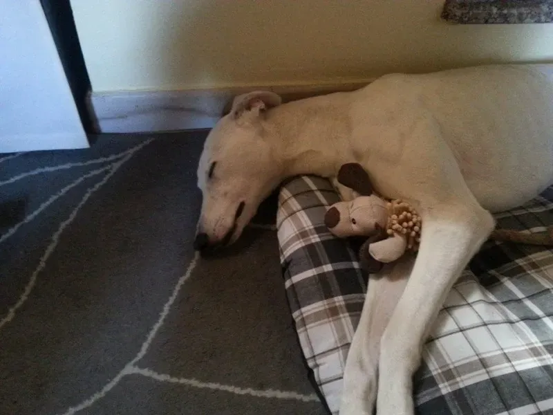 10150590 10203718179983850 42885560 n