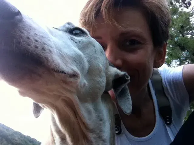 10150702 485364578256623 5498221726701443201 n