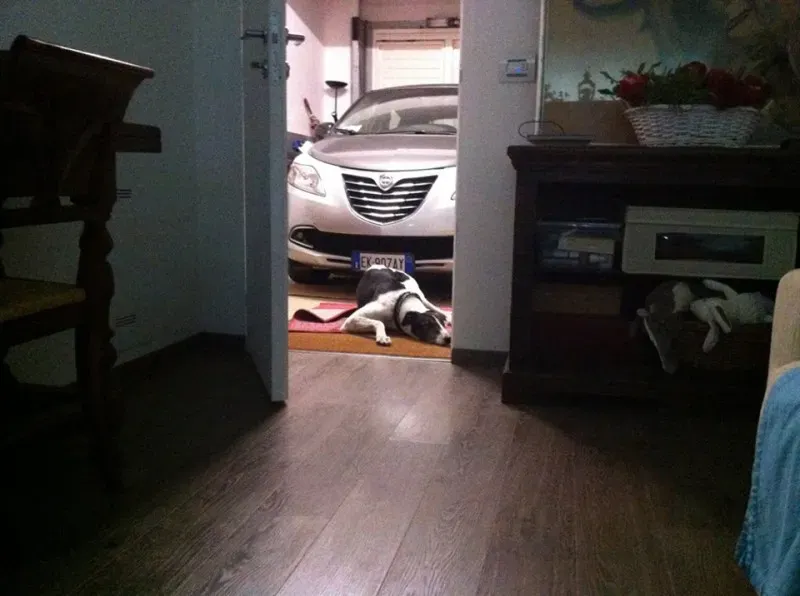 10150748 10202963653685334 5463862360135866459 n