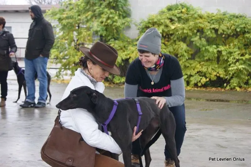 10150807 737314779685713 8548911879645343672 n