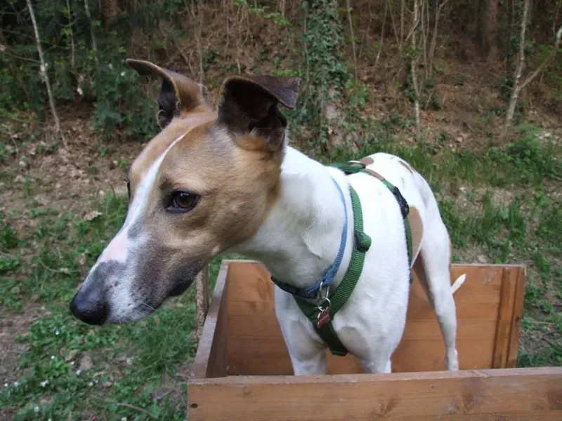 10150811 10202871317055305 1571834447 n