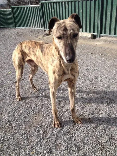 10151552 10151900631110194 303946584 n 1