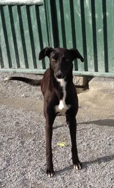 10151669 10151900628180194 3207201 n