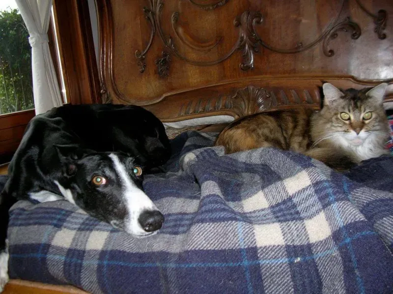 10152465 775564572527400 9136895846048084198 n