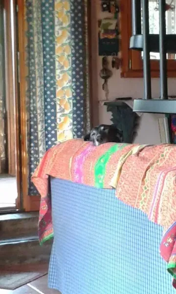 10152664 10202947390597096 3228295979275442126 n