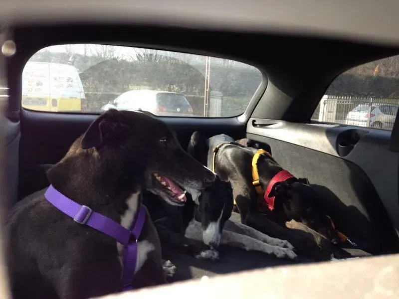 10153003 759014447449945 567552027 n