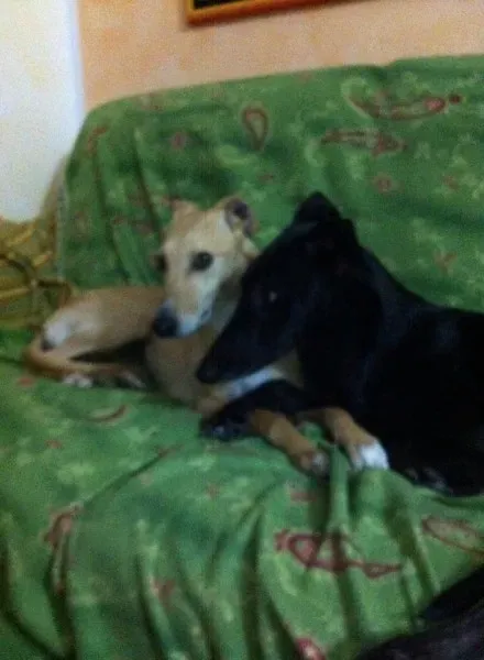 10153254 10202980553056780 2229577015590803932 n