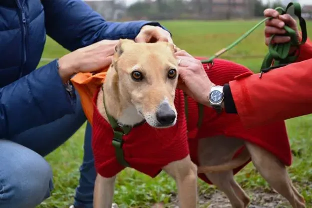 10153977 737244446359413 1079913997807356102 n