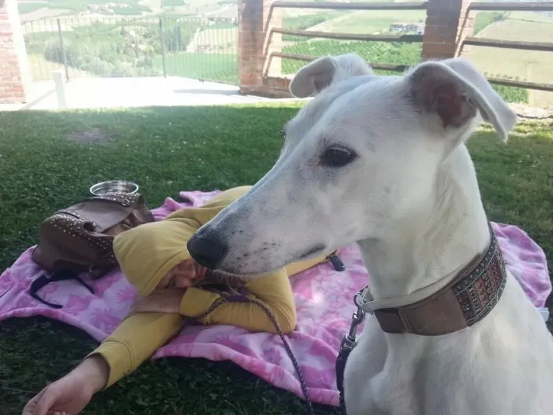 10154281 10203896108191944 5982064862267233506 n