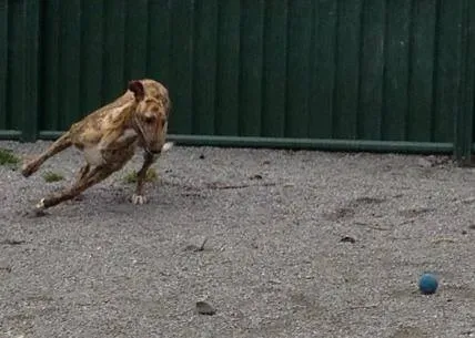 10154942 770572706293764 5150649390074828993 n