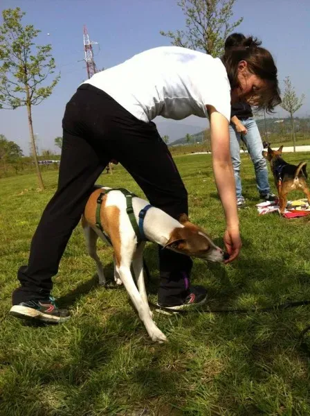 10155084 729452020440857 2935104684909210582 n