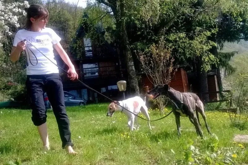 10155097 658364707558038 5581799161486911838 n