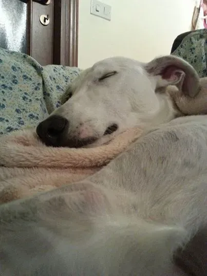 10155282 10203922820579737 3681280246240691268 n