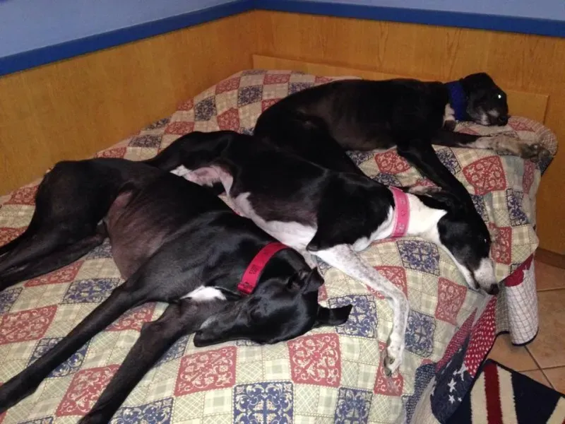 10155413 761251503892906 2032524462 n