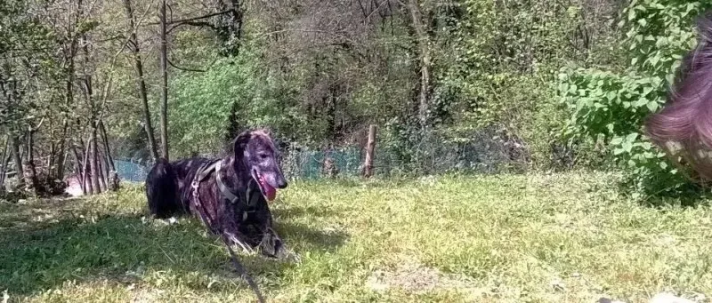 10155446 657850540942788 8307322628534674681 n