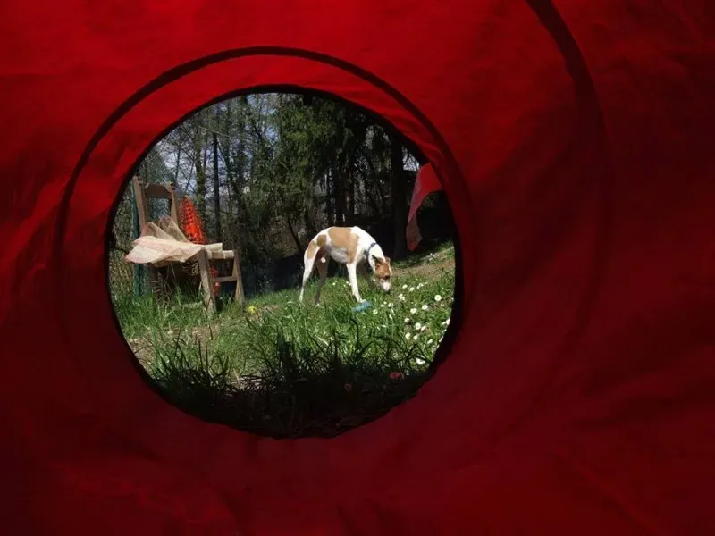 10155657 10202835631043177 1978141637 n