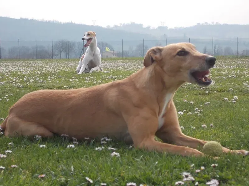 10155741 10203098229136859 7738502051241629311 n